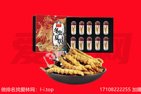 本溪桓仁县回收虫草.jpg